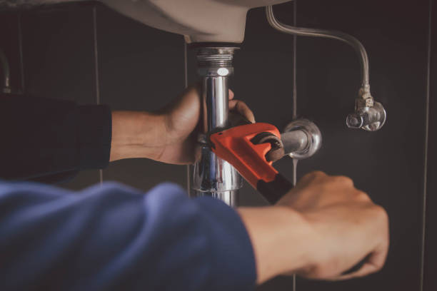 Best Plumbing Inspection Services  in Grain Valley, MO